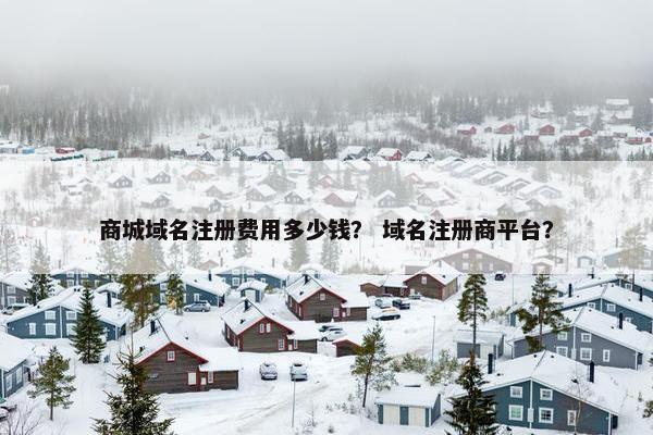 商城域名注册费用多少钱？ 域名注册商平台？