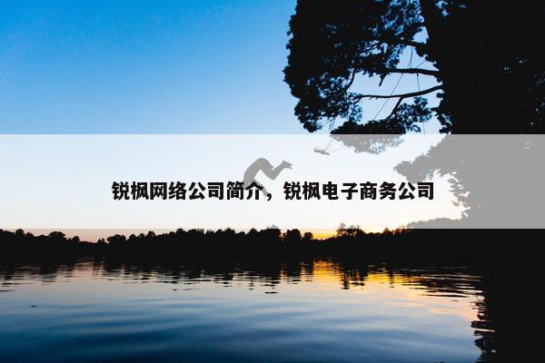 锐枫网络公司简介，锐枫电子商务公司