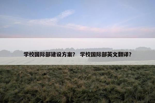 学校国际部建设方案？ 学校国际部英文翻译？