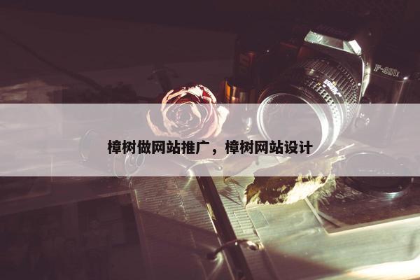 樟树做网站推广，樟树网站设计
