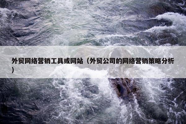 外贸网络营销工具或网站（外贸公司的网络营销策略分析）