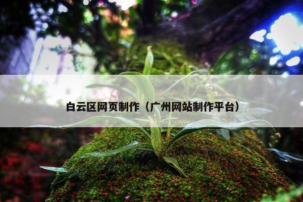 白云区网页制作（广州网站制作平台）