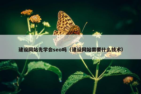 建设网站先学会seo吗（建设网站需要什么技术）