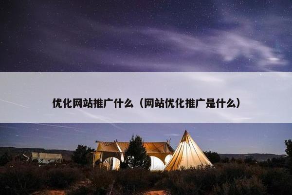 优化网站推广什么（网站优化推广是什么）