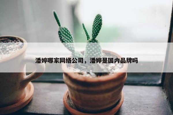 潘婷哪家网络公司，潘婷是国内品牌吗