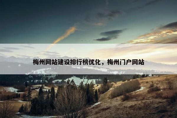 梅州网站建设排行榜优化，梅州门户网站