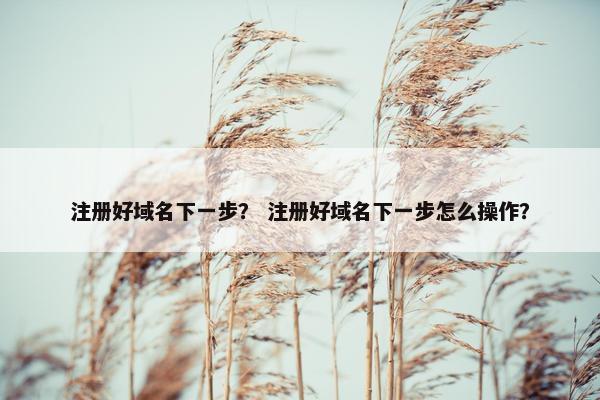 注册好域名下一步？ 注册好域名下一步怎么操作？