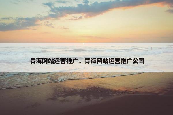 青海网站运营推广，青海网站运营推广公司