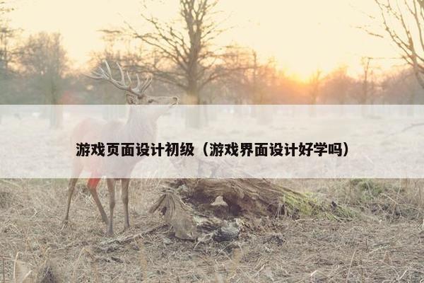 游戏页面设计初级（游戏界面设计好学吗）