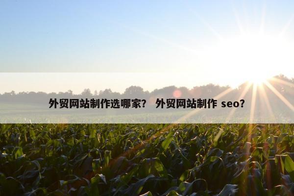 外贸网站制作选哪家？ 外贸网站制作 seo？