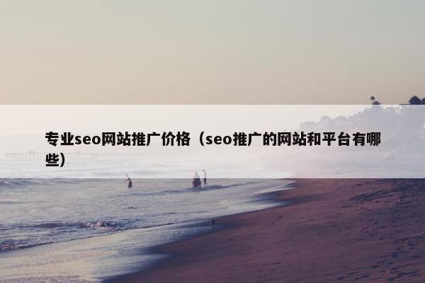 专业seo网站推广价格（seo推广的网站和平台有哪些）
