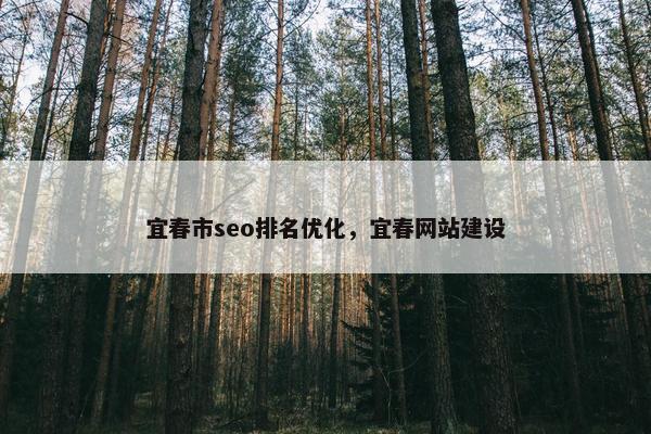 宜春市seo排名优化，宜春网站建设