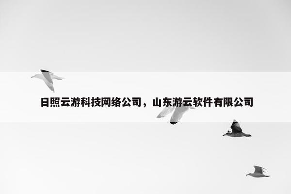 日照云游科技网络公司，山东游云软件有限公司