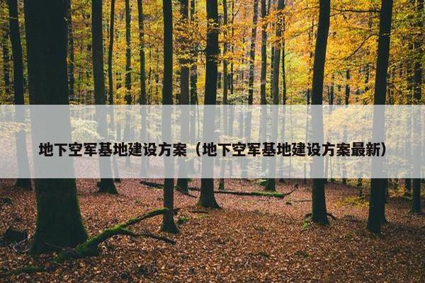 地下空军基地建设方案（地下空军基地建设方案最新）