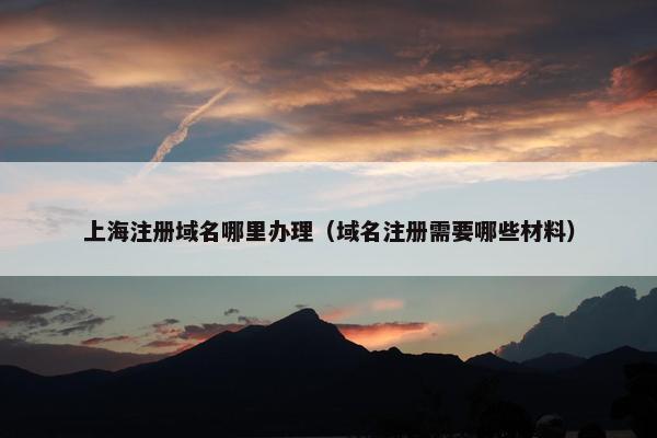 上海注册域名哪里办理（域名注册需要哪些材料）