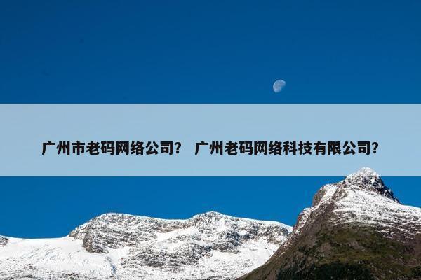 广州市老码网络公司？ 广州老码网络科技有限公司？
