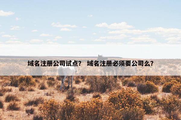 域名注册公司试点？ 域名注册必须要公司么？