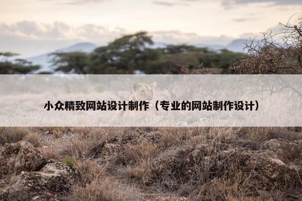 小众精致网站设计制作（专业的网站制作设计）