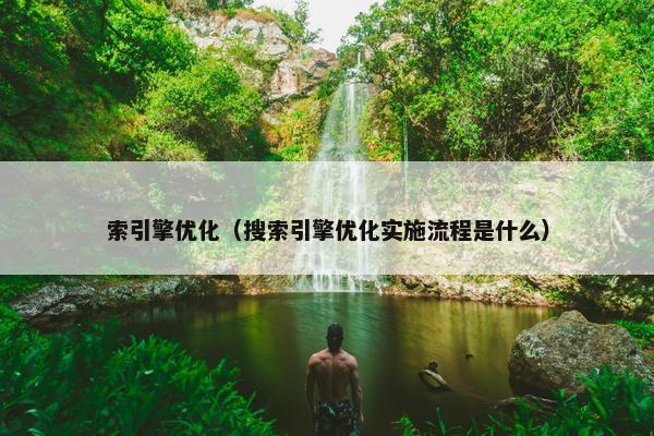 索引擎优化（搜索引擎优化实施流程是什么）