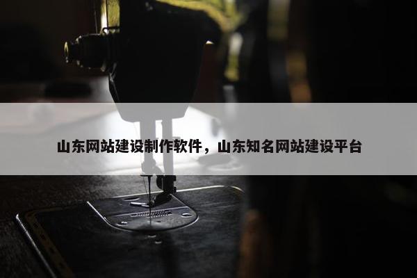 山东网站建设制作软件，山东知名网站建设平台
