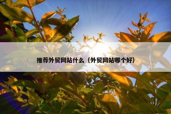 推荐外贸网站什么（外贸网站哪个好）