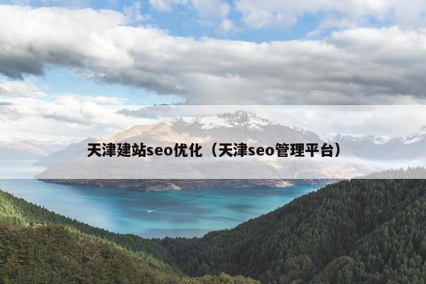天津建站seo优化（天津seo管理平台）