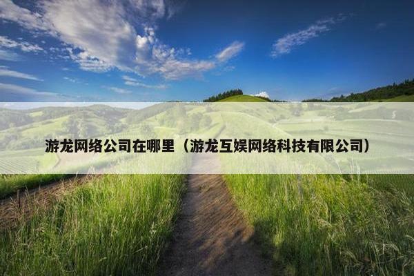游龙网络公司在哪里（游龙互娱网络科技有限公司）