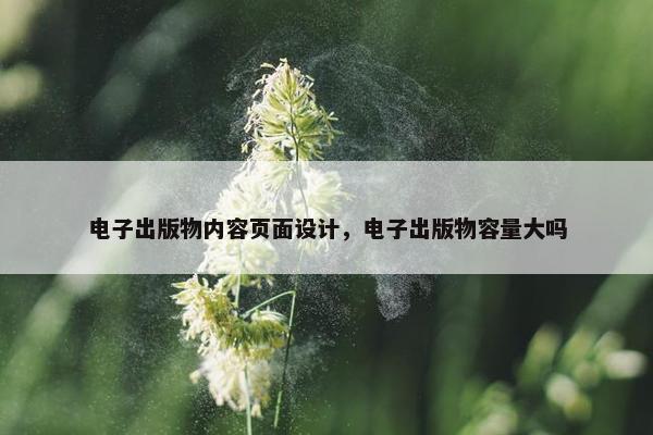 电子出版物内容页面设计，电子出版物容量大吗