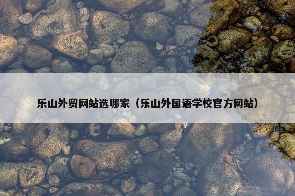 乐山外贸网站选哪家（乐山外国语学校官方网站）