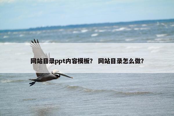 网站目录ppt内容模板？ 网站目录怎么做？