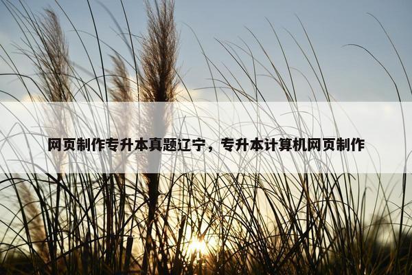 网页制作专升本真题辽宁，专升本计算机网页制作