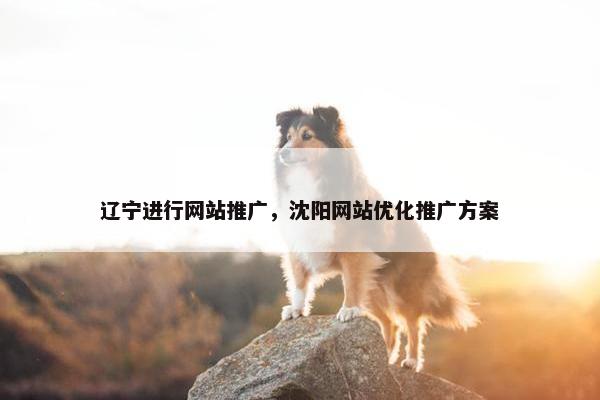 辽宁进行网站推广，沈阳网站优化推广方案
