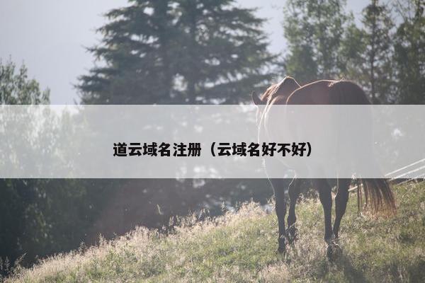 道云域名注册（云域名好不好）