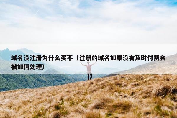 域名没注册为什么买不（注册的域名如果没有及时付费会被如何处理）