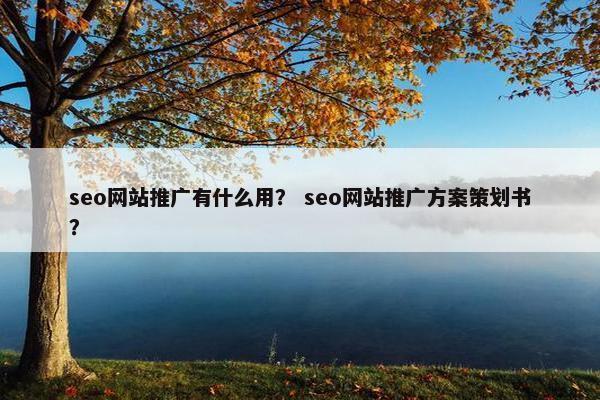 seo网站推广有什么用？ seo网站推广方案策划书？