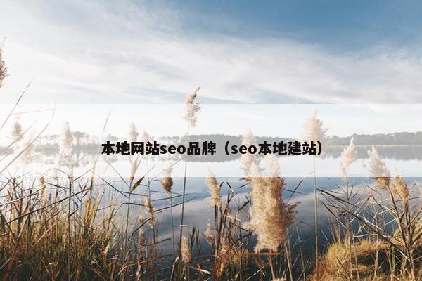 本地网站seo品牌（seo本地建站）