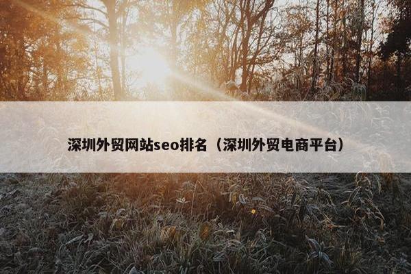 深圳外贸网站seo排名（深圳外贸电商平台）
