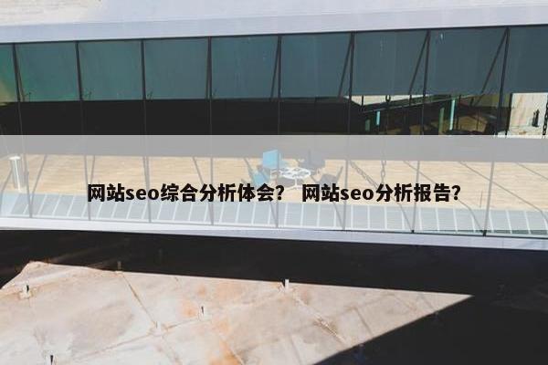 网站seo综合分析体会？ 网站seo分析报告？