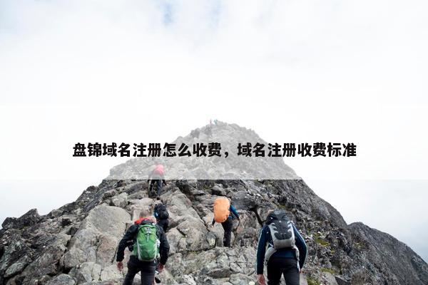 盘锦域名注册怎么收费，域名注册收费标准