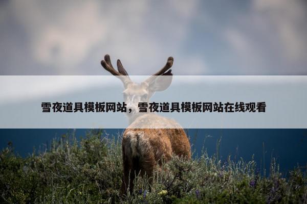 雪夜道具模板网站，雪夜道具模板网站在线观看