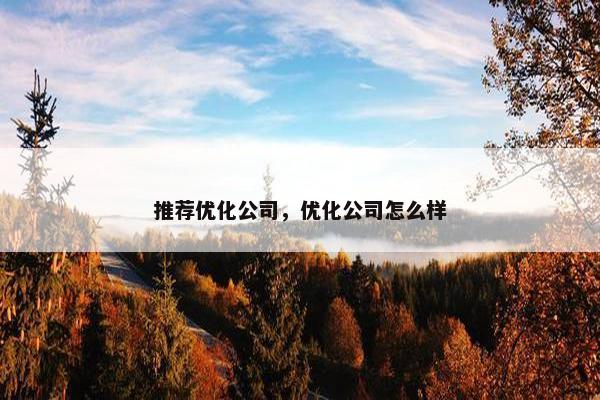 推荐优化公司，优化公司怎么样