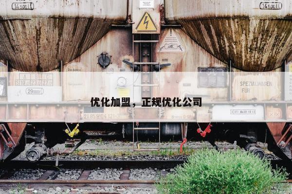优化加盟，正规优化公司