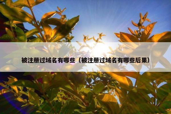 被注册过域名有哪些（被注册过域名有哪些后果）