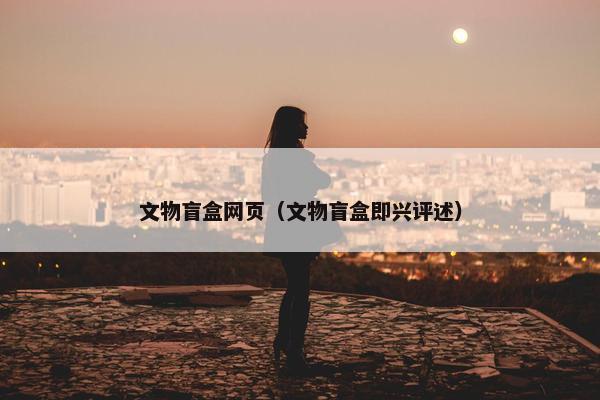 文物盲盒网页（文物盲盒即兴评述）