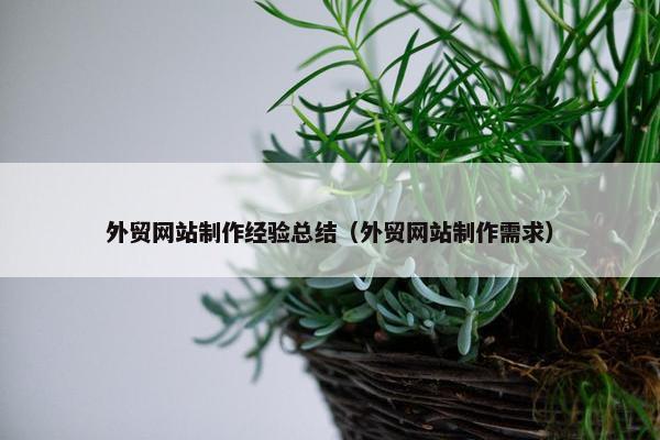 外贸网站制作经验总结（外贸网站制作需求）