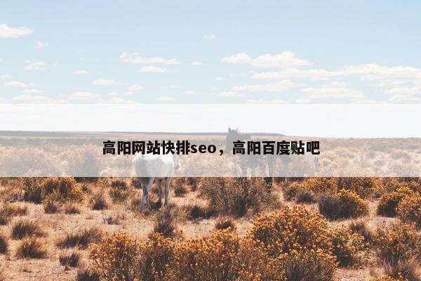高阳网站快排seo，高阳百度贴吧