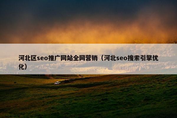 河北区seo推广网站全网营销（河北seo搜索引擎优化）