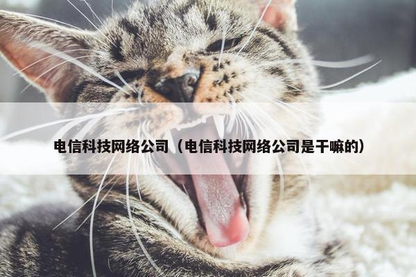 电信科技网络公司（电信科技网络公司是干嘛的）