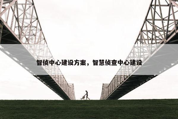 智侦中心建设方案，智慧侦查中心建设