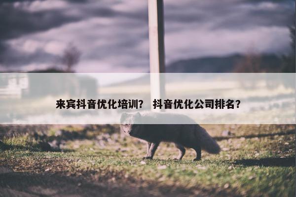 来宾抖音优化培训？ 抖音优化公司排名？